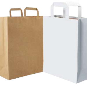 Paper Flat_Rope Handle Bags